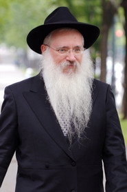 Rabbi Manis Friedman 头像
