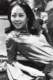 山本阳子 头像