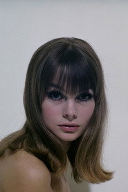 Jean Shrimpton 头像