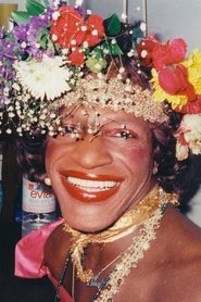 Marsha P. Johnson 头像