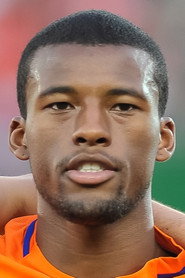 Georginio Wijnaldum 头像