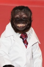 Crystal the Monkey 头像
