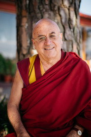 Matthieu Ricard 头像