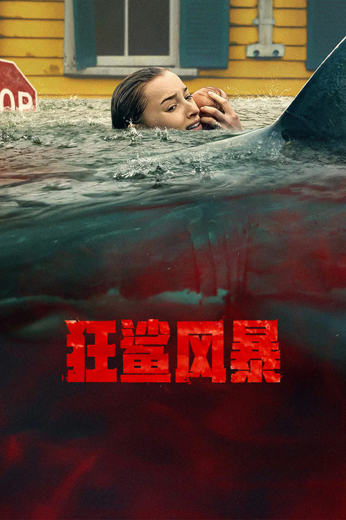 狂鲨风暴 海报