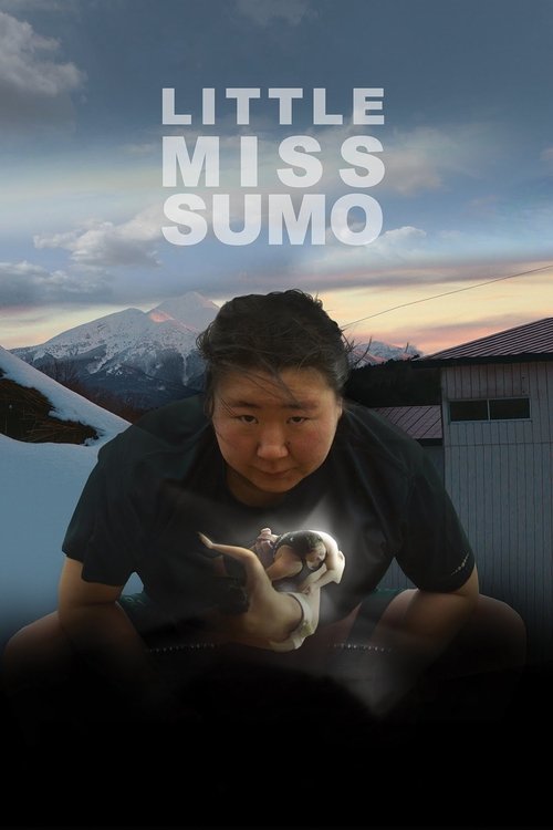 Little Miss Sumo 海报