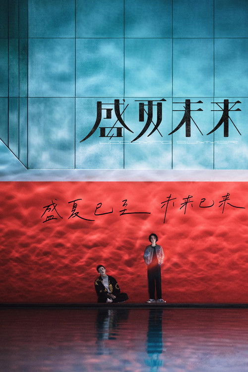 盛夏未来 海报