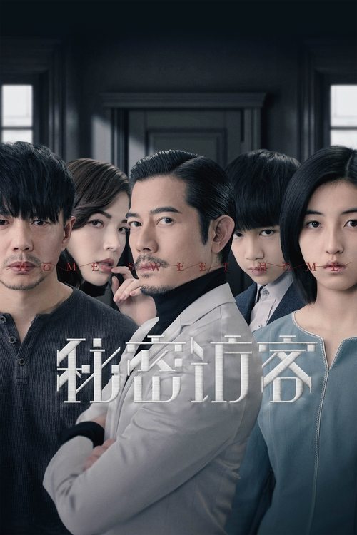 秘密访客 海报