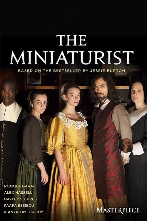 The Miniaturist 海报
