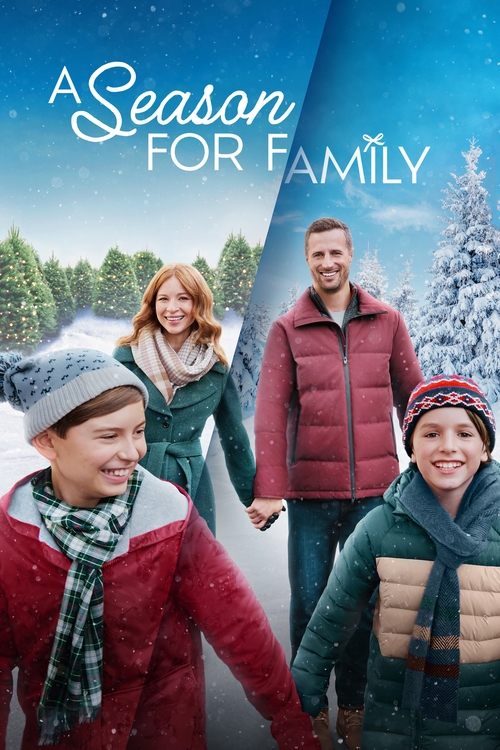 A Season for Family 海报