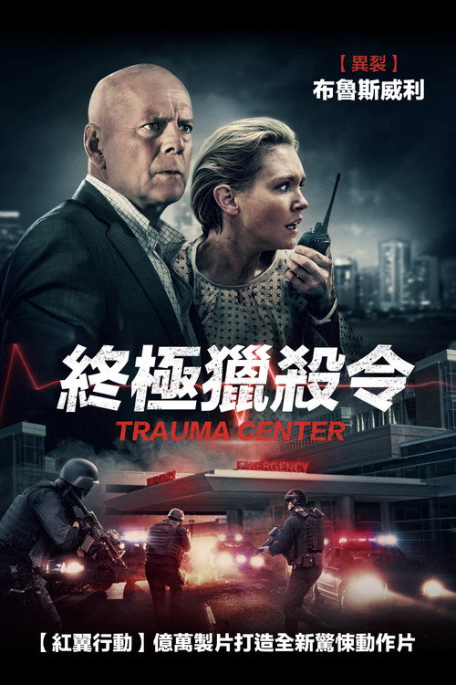 虎胆杀机 海报