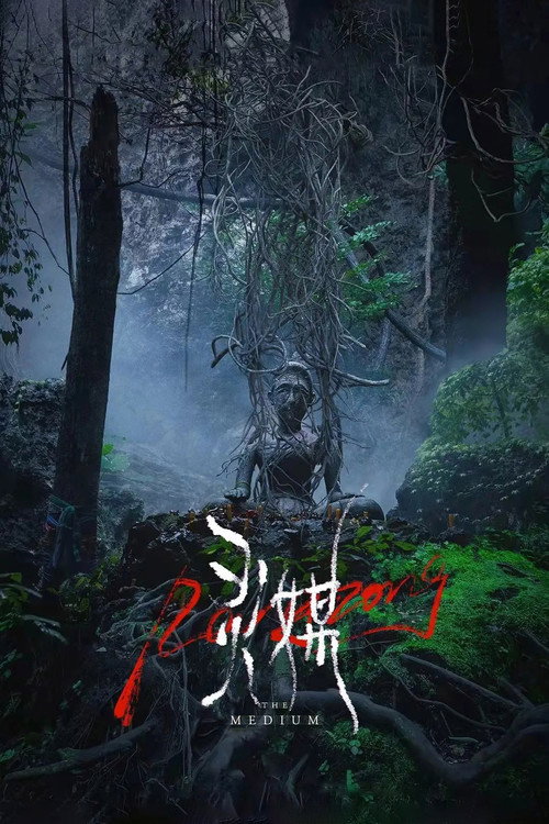 灵媒 海报