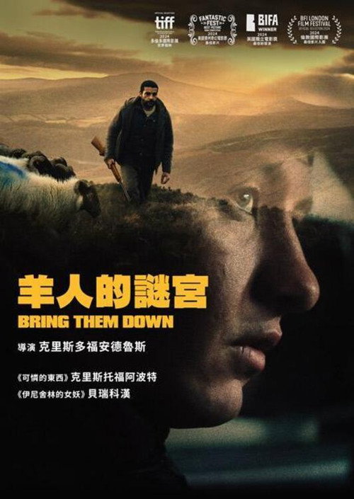 打倒他们 海报