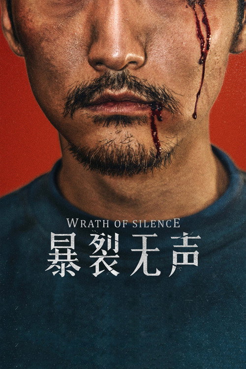 暴裂无声 海报