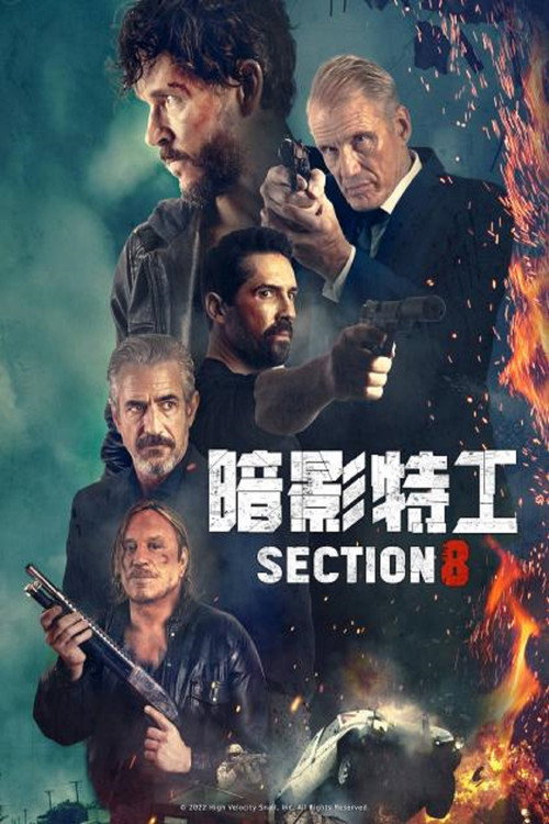 暗影特工 海报
