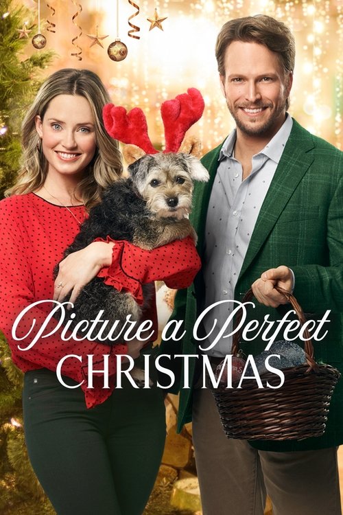 Picture a Perfect Christmas 海报