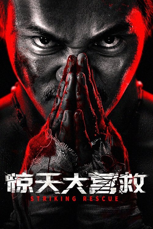惊天大营救 海报