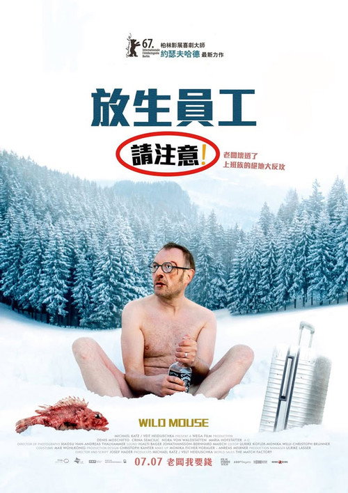 疯狂的老鼠 海报