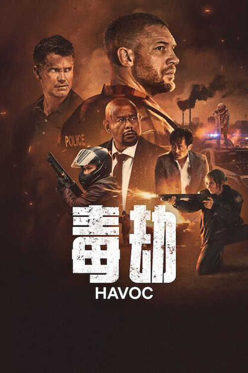 毒劫 海报