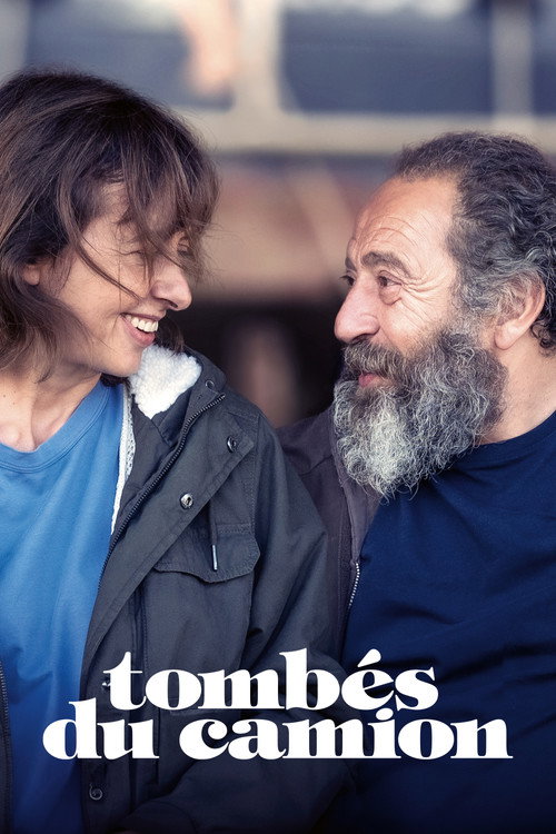 Tombés du camion 海报