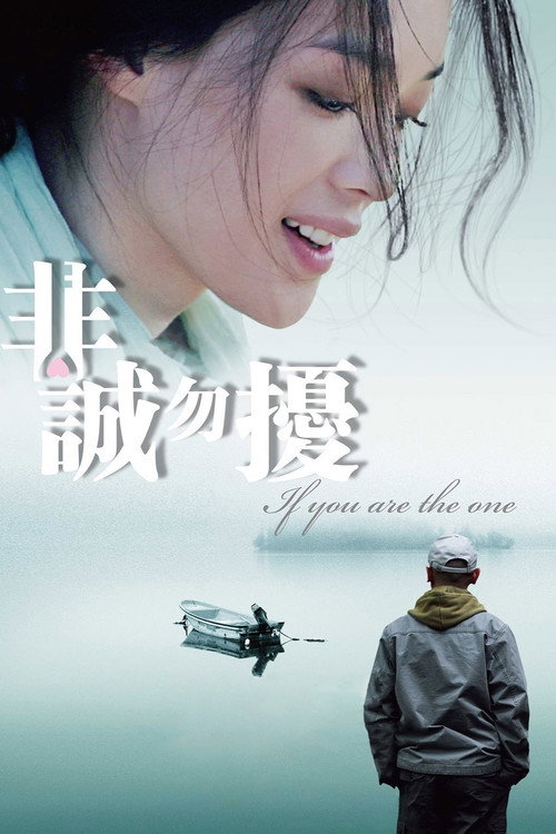 非诚勿扰 海报