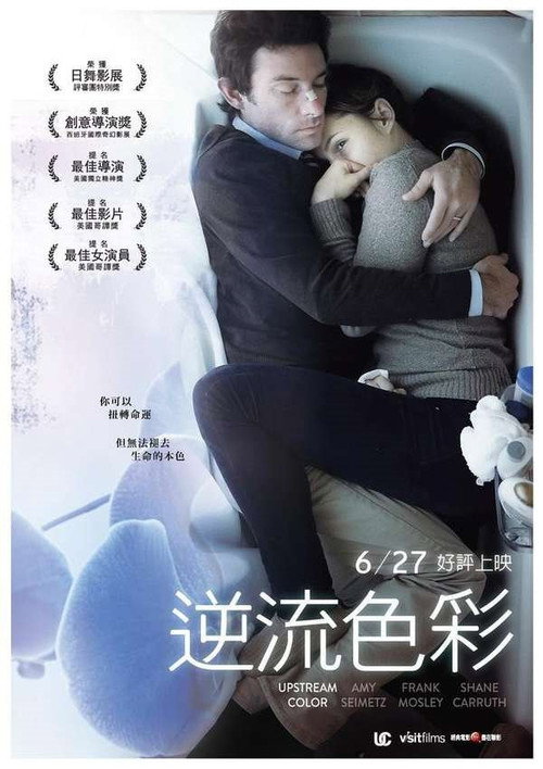 逆流的色彩 海报
