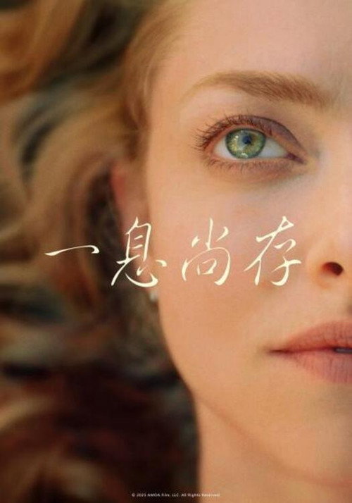 如释重负 海报