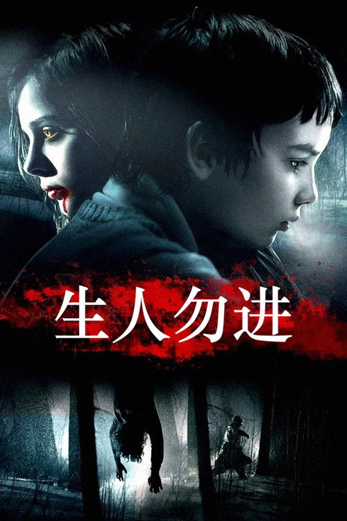 生人勿进 海报
