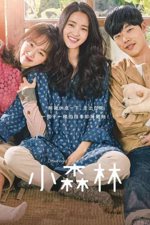 小森林 海报