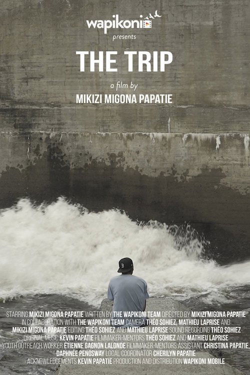 The Trip 海报
