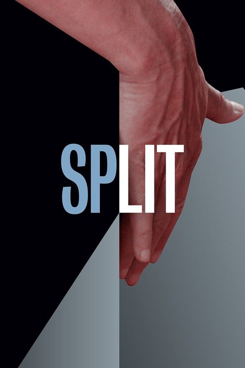 Split 海报