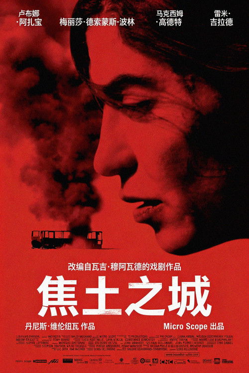 焦土之城 海报