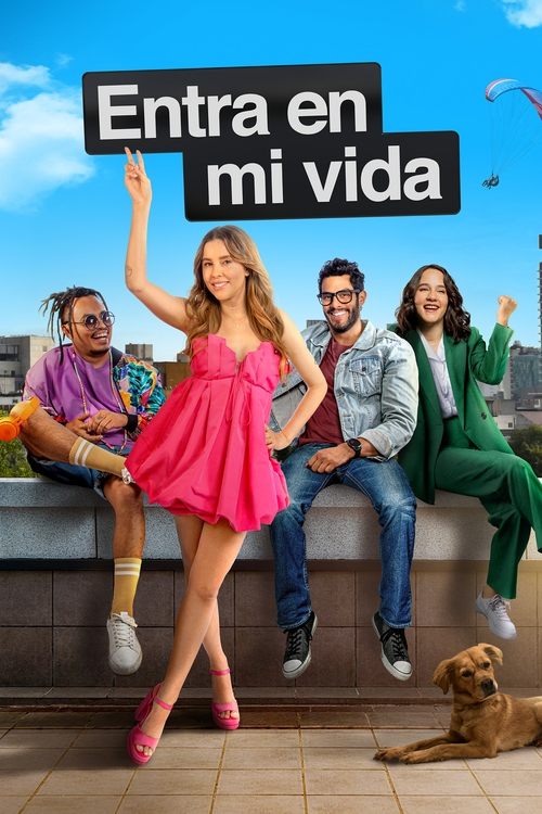 Entra En Mi Vida 海报