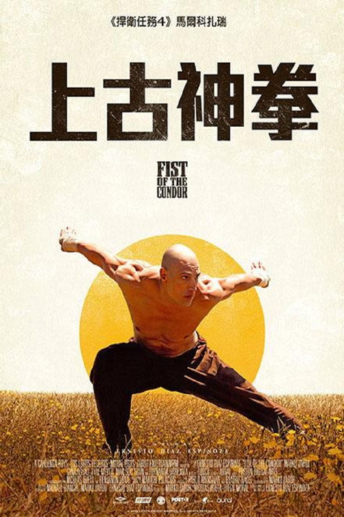 雕拳 海报