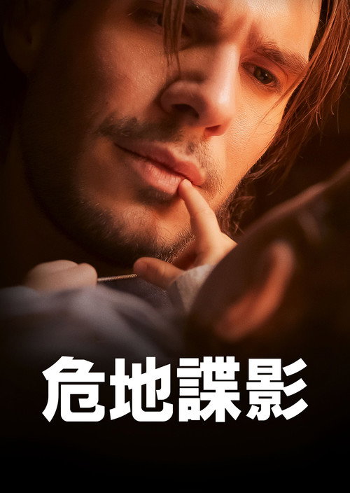 危地谍影 海报
