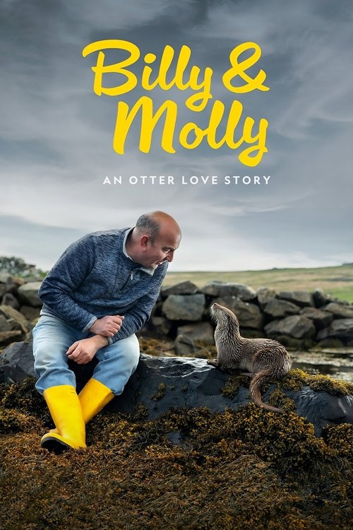 Billy & Molly: An Otter Love Story 海报
