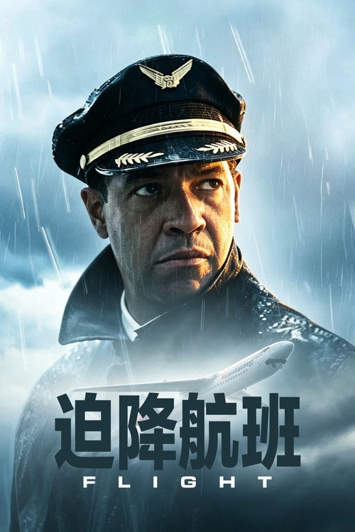 迫降航班 海报