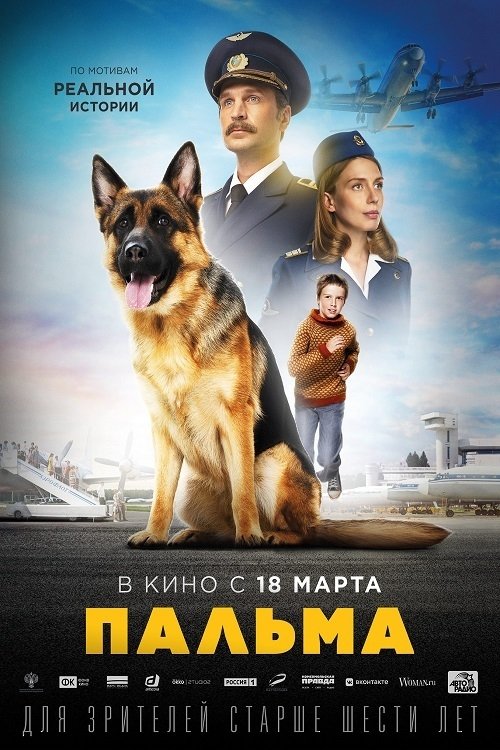 忠犬帕尔玛 海报