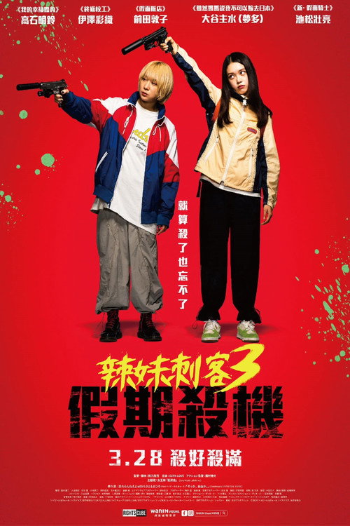 辣妹刺客3 海报