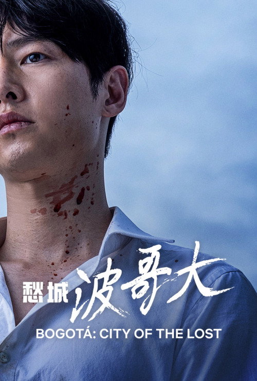 愁城波哥大 海报
