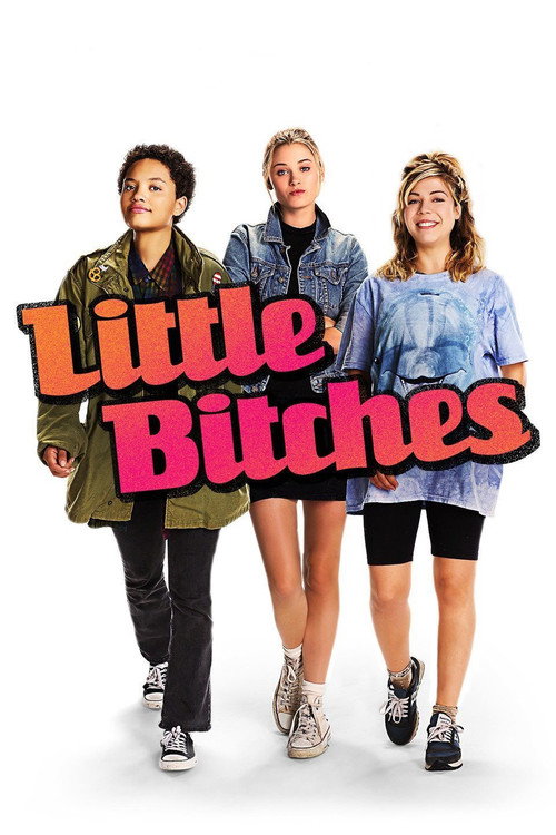 Little Bitches 海报