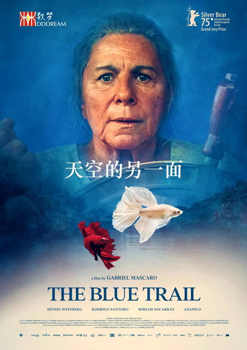 天空的另一面 海报