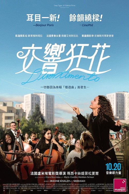 琴音芳华 海报