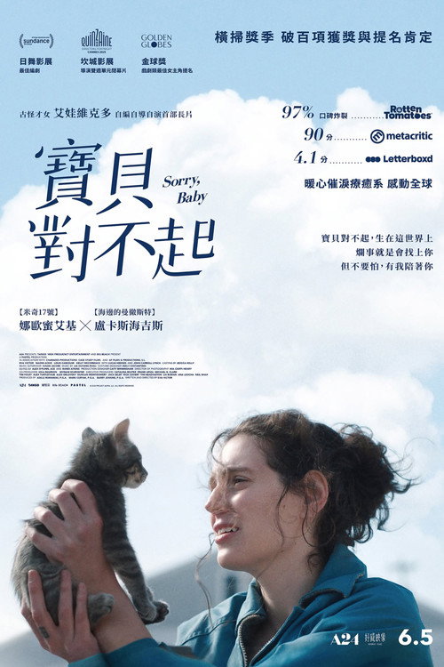 对不起，宝贝 海报