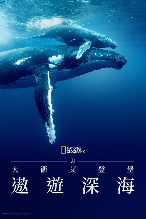 大卫·爱登堡:海洋 海报