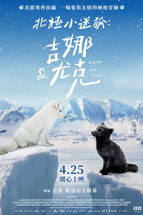 北极小迷狐吉娜&尤克 海报