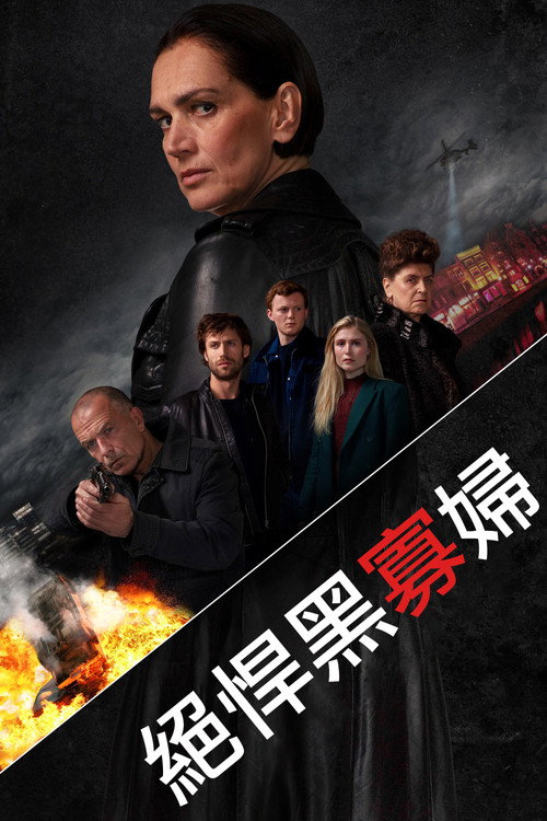黑寡妇：最终章 海报