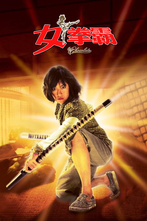女拳霸 海报