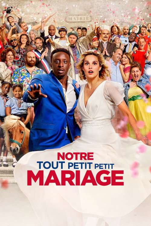 Notre tout petit petit mariage 海报