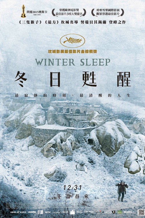 冬眠 海报