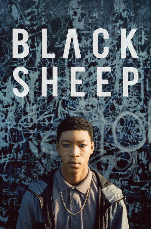 Black Sheep 海报